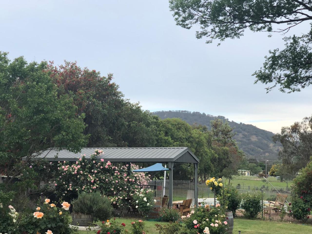 Valley View Motel Murrurundi Extérieur photo